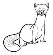 Korras leģenda Tiešsaistes Krāsošana